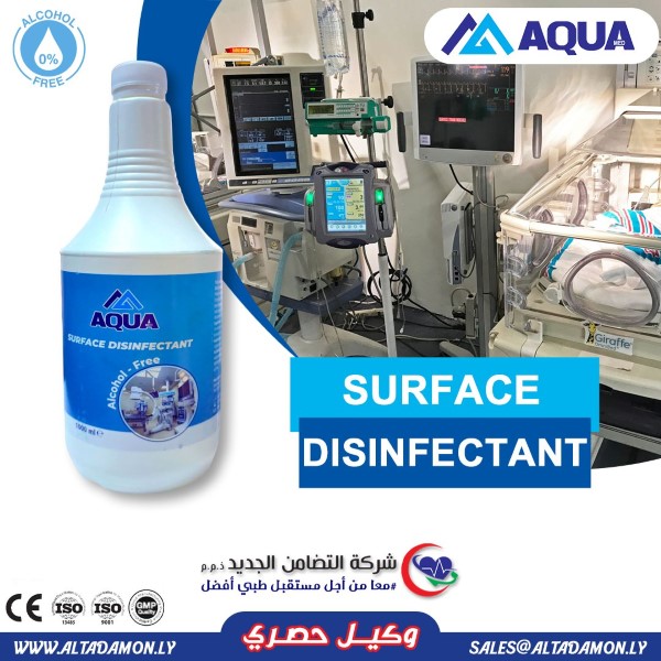 481782315_1154948339659774_156925916818022913_n (Custom)