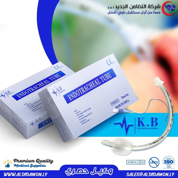 483935141_1158603545960920_1628461975997985989_n (Custom)