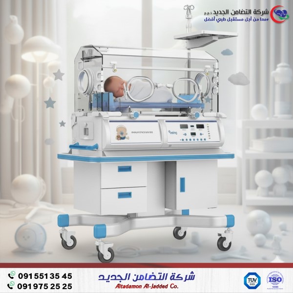 560478776_1322787926209147_9030957759699161325_n (Custom)