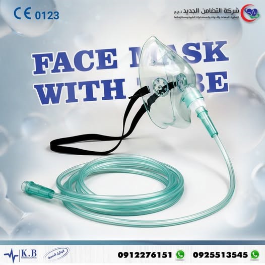 603075411_1378640137290592_8352591139296326849_n (Custom)